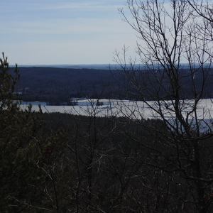 Fundraising Page: Susan Barnes